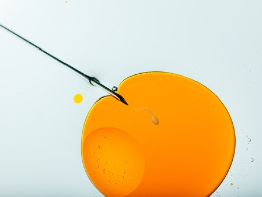 IVF i pro „single“ ženy?